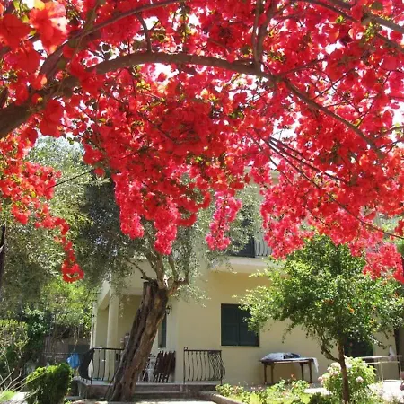 Apartmán Margarita *