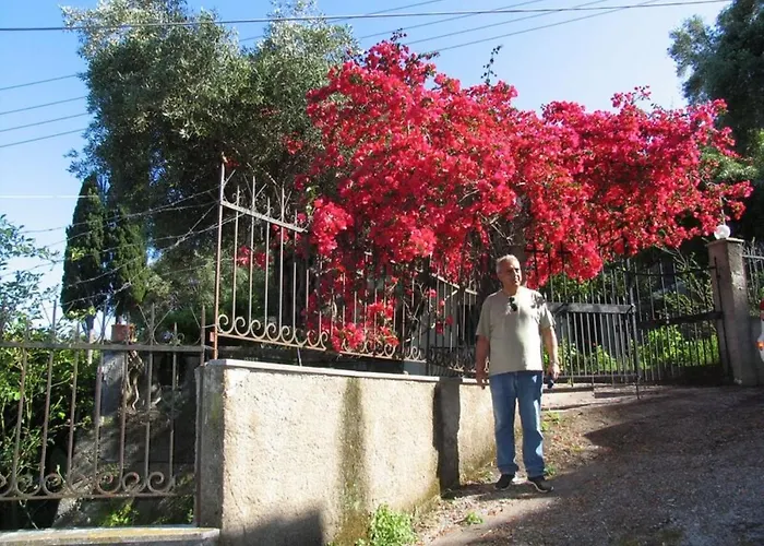 Margarita * Agios Ioannis Peristerion